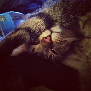 Meet your Posher, Hannah